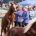 rossfest,st.märgen