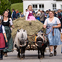 rossfest,st.märgen